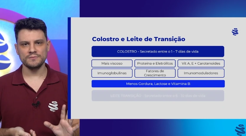 Sessão de Aprofundamento